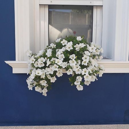 Vila Casa Jardín Monforte De Lemos Exteriér fotografie